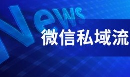 二宁最新爆料消息今天新闻,揭秘娱乐圈惊人内幕